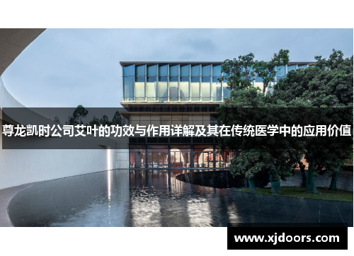 尊龙凯时公司艾叶的功效与作用详解及其在传统医学中的应用价值